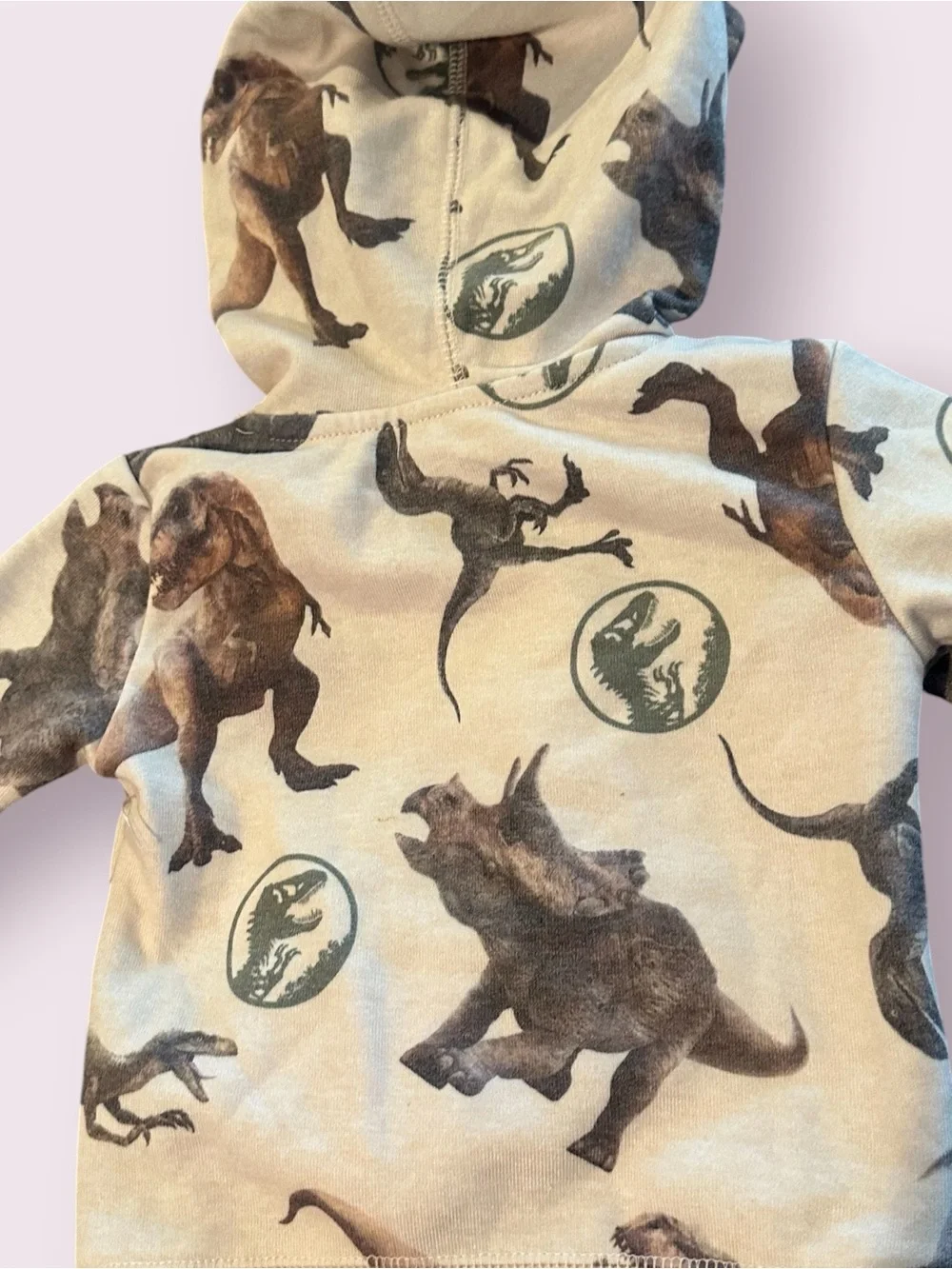 Toddler Boy Jurassic World All Over Dinosaur Print Hoodie And Pants Sz 12 Mon